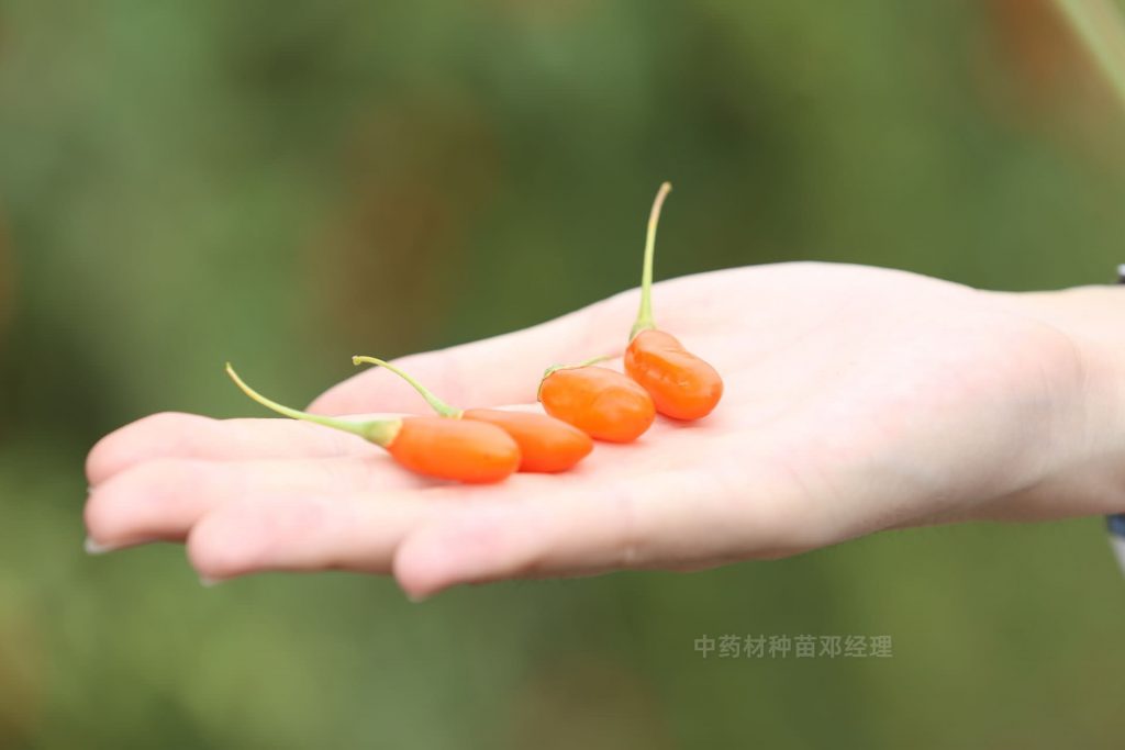 中药材种植技术大全